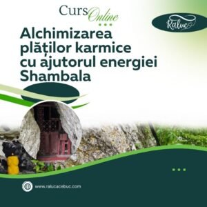 Curs Online Alchimizarea platilor karmice cu ajutorul energiei Shambala (1)