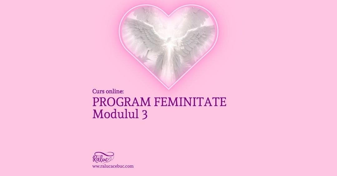 PROGRAM FEMINITATE – Modulul 3